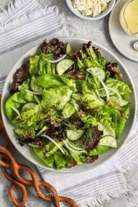 plated Simple Green Salad with dill